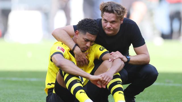 1685266378462045494.jpeg 1685266378462045494.jpeg